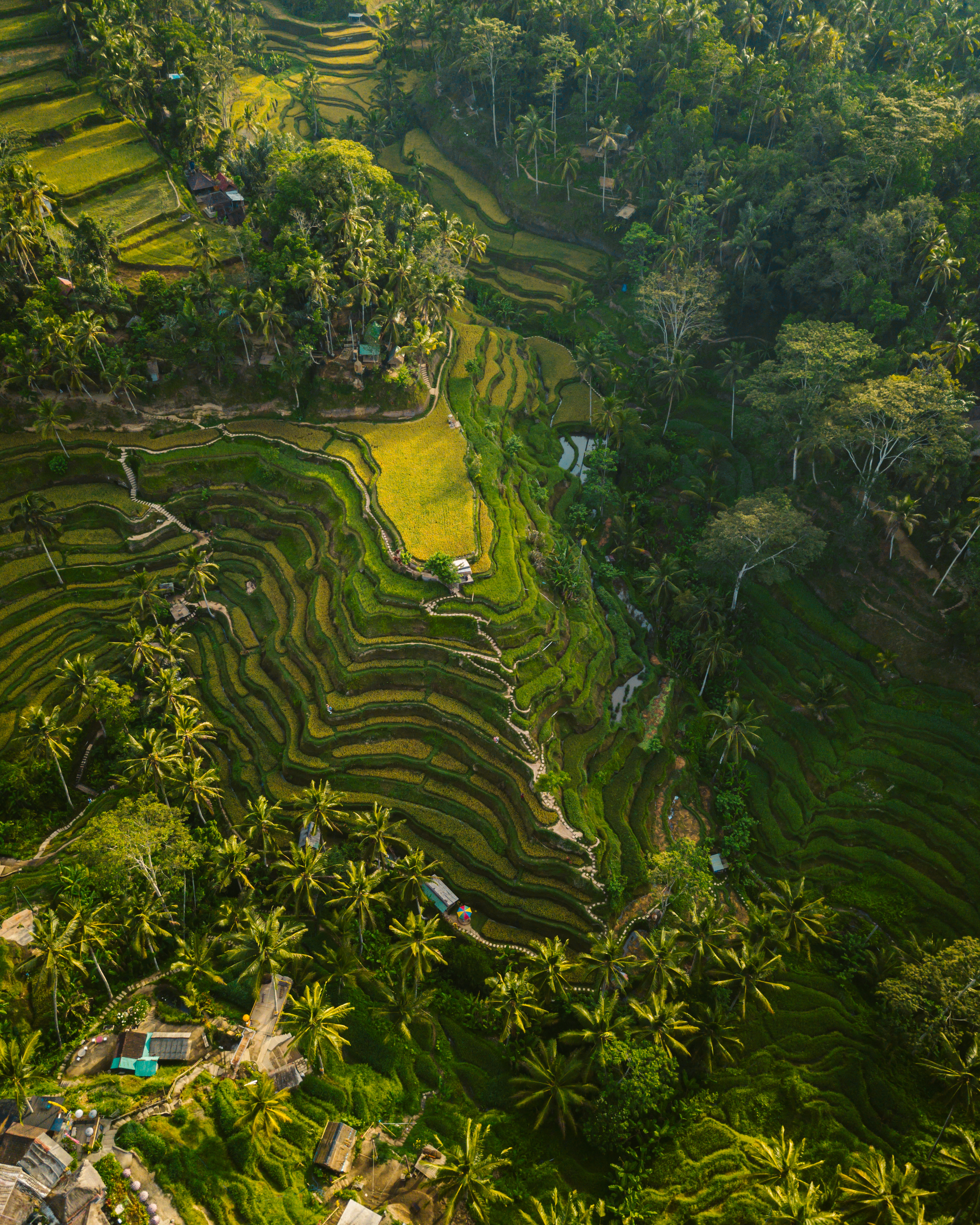 Bali Nusa Penida